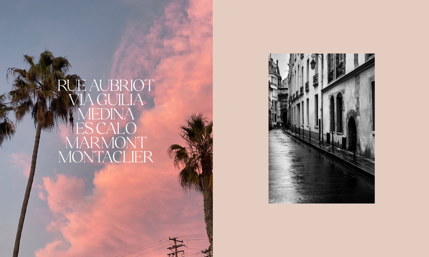 palm tree shadow in front of a cotton candy pink sky and black and white picture of a parisian street rue aubriot