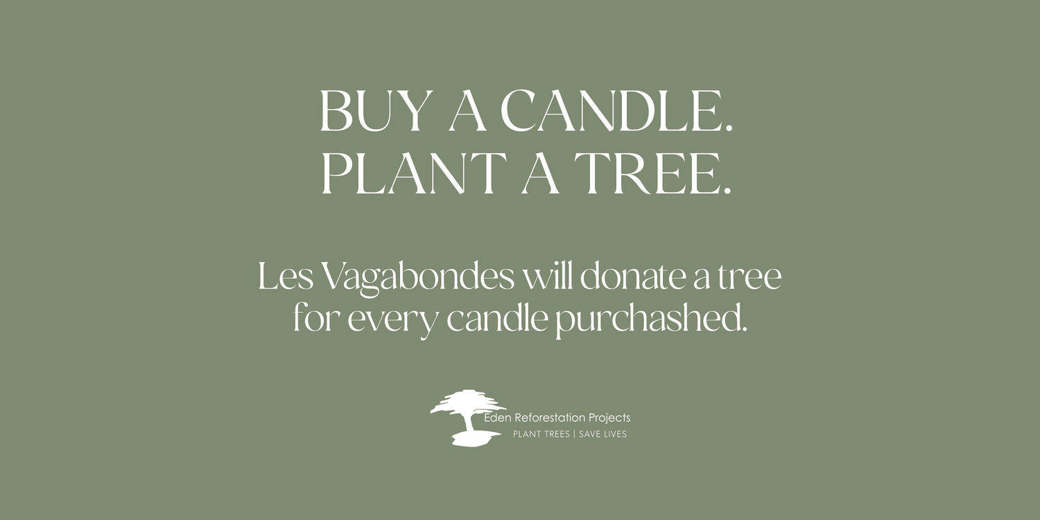Buy a candle Plant a tree / Eden Forestation Projects Organization and Charity donation for each purchase